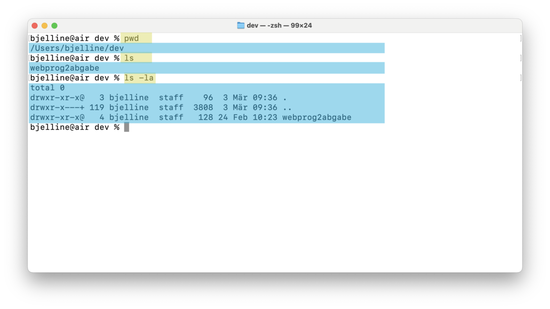 Abbildung: Terminal auf Mac OS X