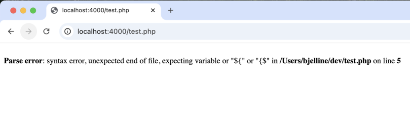 Abbildung 127: So funktioniert PHP nicht: Fehler im Programm