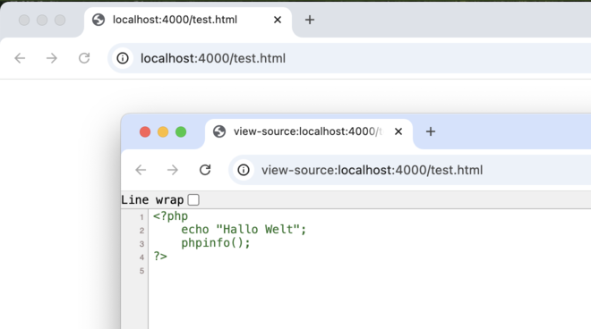 Abbildung 126: So funktioniert PHP nicht: falsche Dateiendung